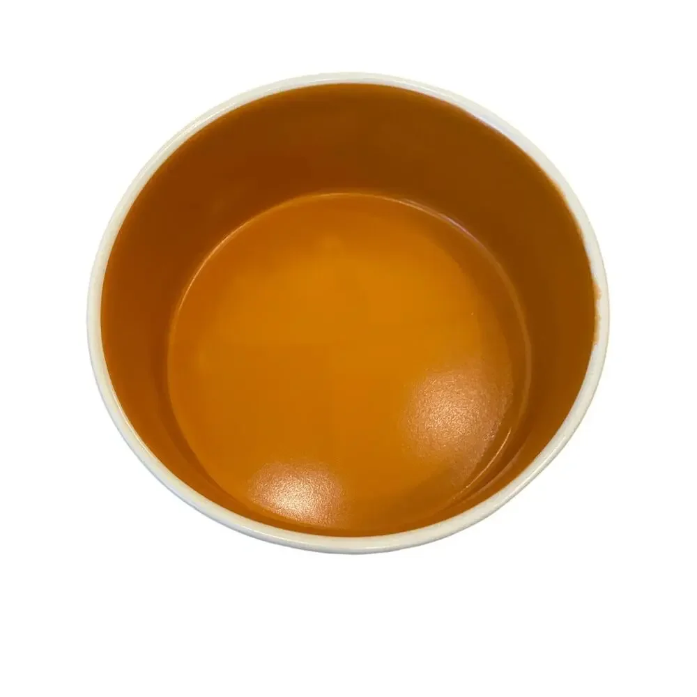 Rae Dunn Artisan Collection Dog Bowl GOBBLE Ceramic 5.5in White Orange NWOT